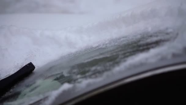 Winter Reinigen Van Auto Uit Sneeuw — Stockvideo