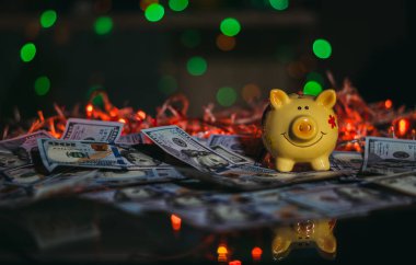 kumbara. Kumbara ve yüz dolar faturaları