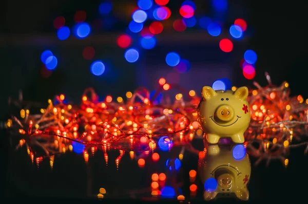 Kumbara Çok Renkli Işık Ampüller Arka Plan Üzerinde Domuz — Stok fotoğraf
