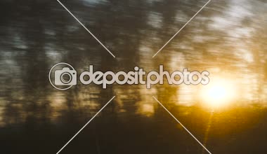 Orman ve güneş. Tren penceresinden güneş ormanı