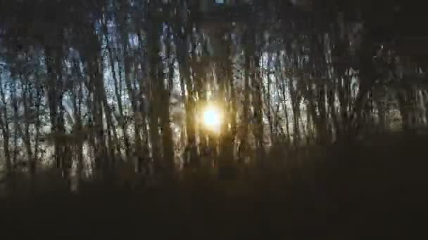 Forêt Soleil Par Fenêtre Train Forêt Avec Soleil — Video