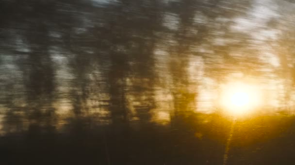 Wald Und Sonne Durch Das Zugfenster Den Wald Mit Der — Stockvideo