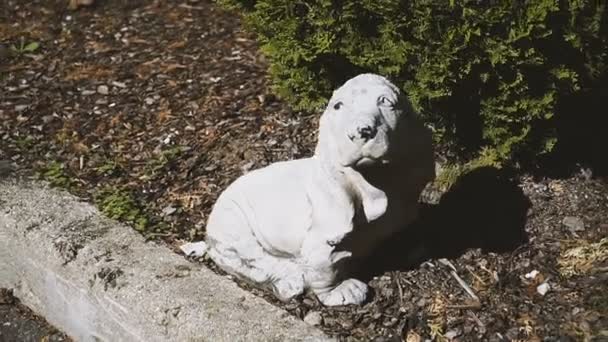 Perro Escultura Perro Raza Cocker Spaniel — Vídeo de stock