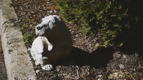 Perro Escultura Perro Raza Cocker Spaniel — Vídeos de Stock