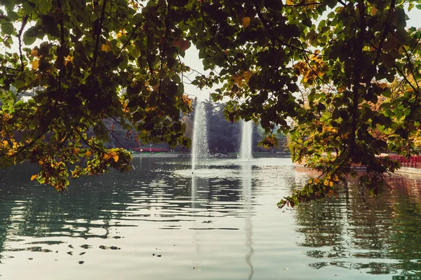 Göl Bir Çeşmesi Ile — Stok fotoğraf