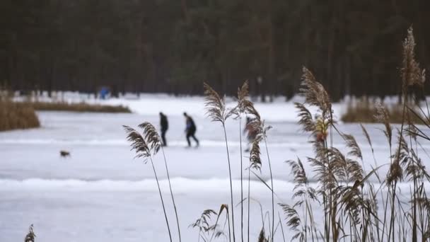 Hockey Hockey Callejero Hockey Hockey Callejero — Vídeo de stock