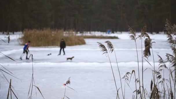 Hokej Pouliční Hokej Hokej Pouliční Hokej — Stock video