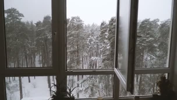 Venster Venster Met Uitzicht Besneeuwde Bos — Stockvideo