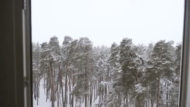 Окно Окно Видом Снежный Лес — стоковое видео