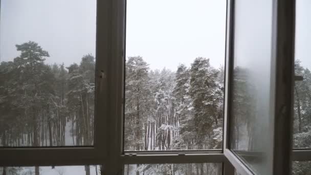 俯瞰雪山森林的窗户 — 图库视频影像