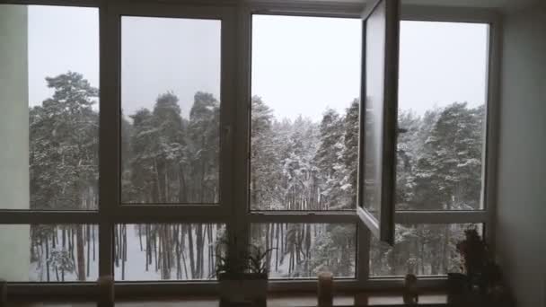 Window Window Overlooking Snowy Forest — Stock Video