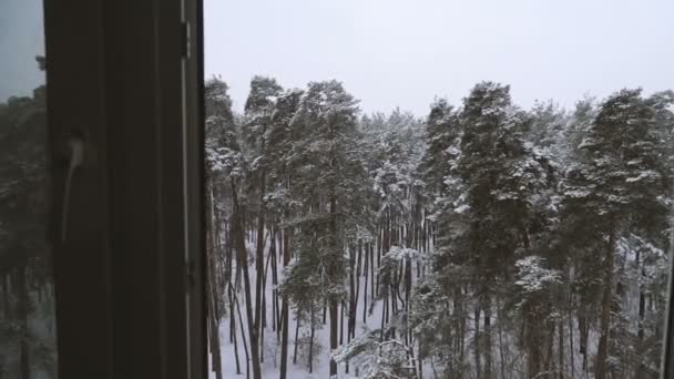 Pencere Snowy Orman Bakan Pencere — Stok video