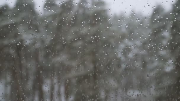 Venster Venster Met Uitzicht Besneeuwde Bos — Stockvideo