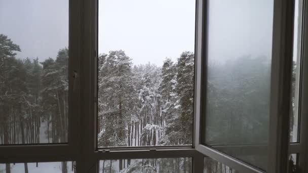 Okno Okno Výhledem Zasněžené Lesy — Stock video