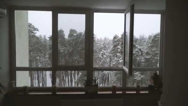 ウィンドウ 雪に覆われた森を見下ろす窓 — ストック動画