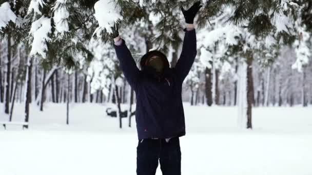 Nieve Tipo Está Frotando Una Rama Nevada Que Cae Nieve — Vídeos de Stock