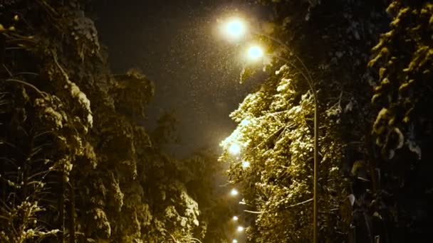 Inverno Inverno Noite Rua — Vídeo de Stock