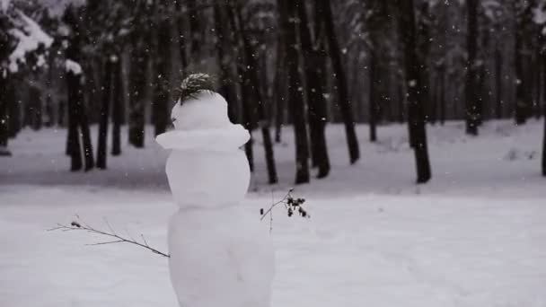 Hombre Nieve Muñeco Nieve Que Cae Nieve — Vídeo de stock