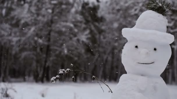 Snowman Snowman Which Snow Falls — Stock Video
