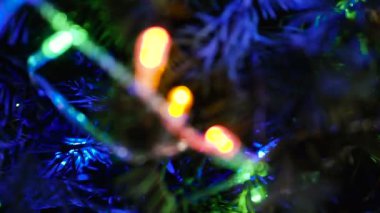 Noel ağacı. Süslü Noel ağacı