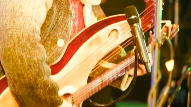 Müzik aletleri. Mikrofonlu gitar