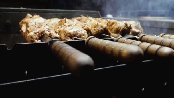 Kött Shish Kebab Grill Brand — Stockvideo