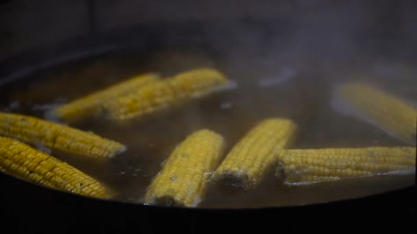 Maïs Maïs Hoofden Gekookt Een Pan — Stockvideo