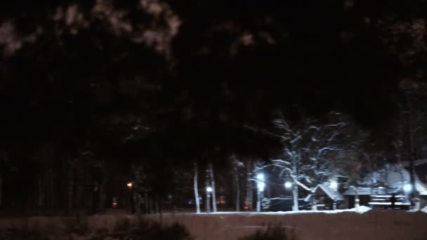 夜冬天森林与小屋 — 图库视频影像