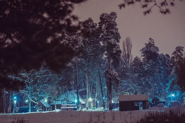 Vintern Natt Vinter Skog Med Hyddor — Stockfoto