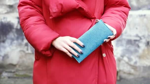 Eine Tüte Frauentasche Weiblicher Hand — Stockvideo