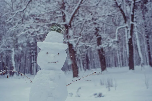 Снеговик Снеговик Которого Падает Снег — стоковое фото