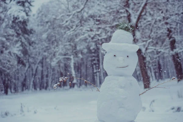 Snowman Snowman Which Snow Falls — Stock Photo, Image