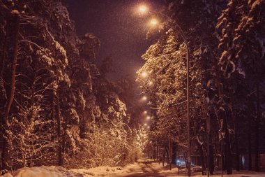 Off-Road. Yol çukur