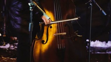 Kontrbas. Müzik aleti Kontrbas