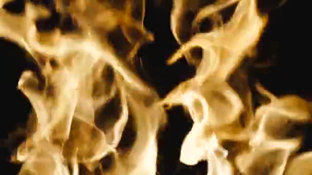 火灾中的火焰 — 图库视频影像