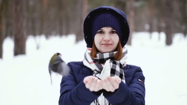 Das Mädchen Füttert Den Vogel Aus Den Händen — Stockvideo