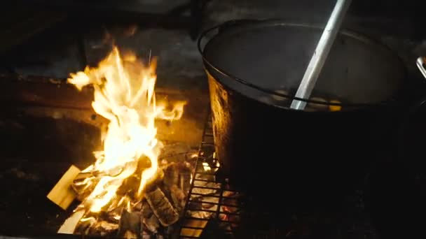 Kochen Auf Dem Feuer — Stockvideo