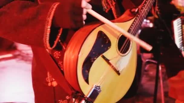 Stringed Instruments Hands Playing Musical Instrument — Stock Video