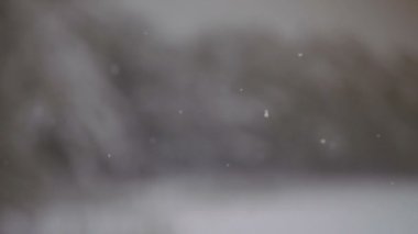 Kar taneleri. Kar taneleri düşüyor. Ağır çekim video 25 kare