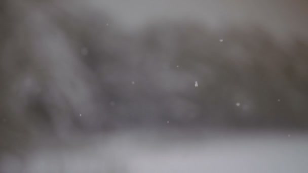 Schneeflocken Schneeflocken Fallen Zeitlupe Video Bilder — Stockvideo