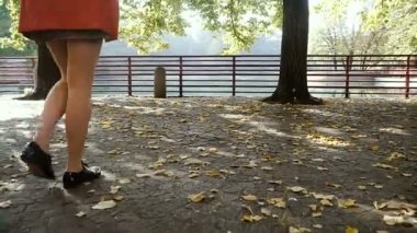 Bir su birikintisi ile yeşil park