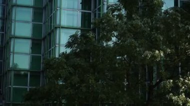 Mimarisi. Cam ofis binası