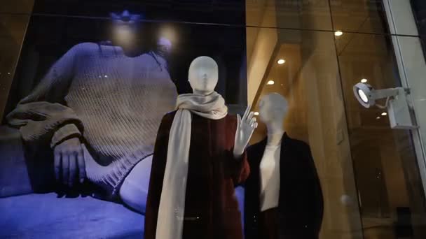 Pauvre Con Mannequin Femme Debout Dans Une Vitrine — Video