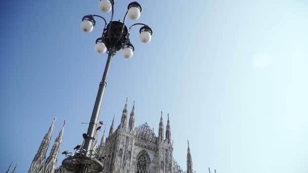 Architecture Milan Cathedral Architecture Milan Cathedral — Stock Video