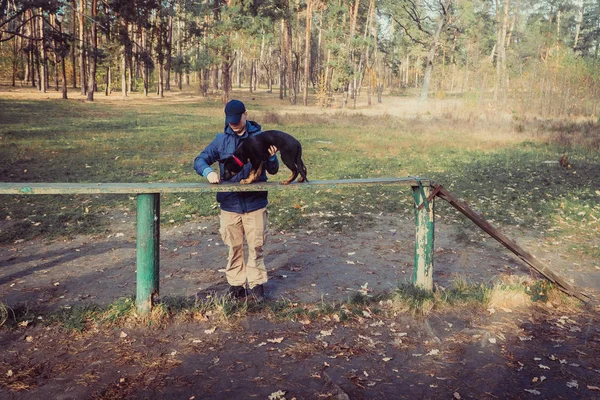 Szkolenie szczeniaka. Szczenięta Owczarek szkolenia od najmłodszych lat — Zdjęcie stockowe