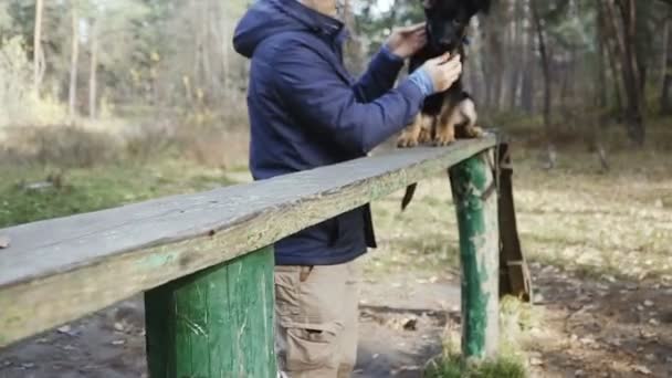 Moeder Pups Herdershond Rashonden — Stockvideo