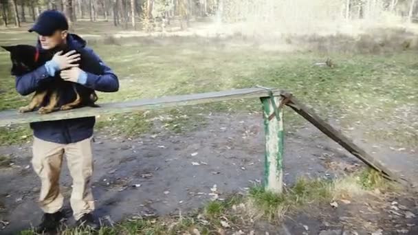 Mãe Cachorros Cães Raça Sheepdog — Vídeo de Stock