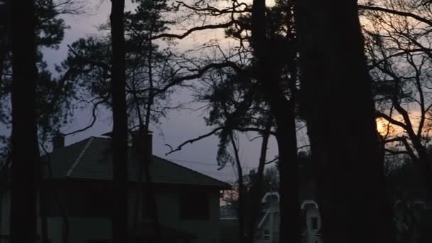 Bonne Nuit Forêt Crépuscule — Video