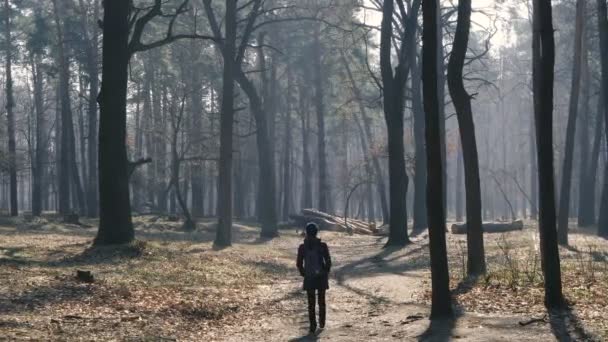 Dziewczyna Przechodzi Przez Lasy — Wideo stockowe