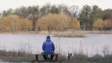 Parkta yürüyen Fransız bulldog